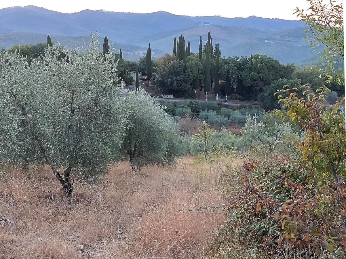 Casanova Di Ricavo Villa Gaiole in Chianti Ngoại thất bức ảnh