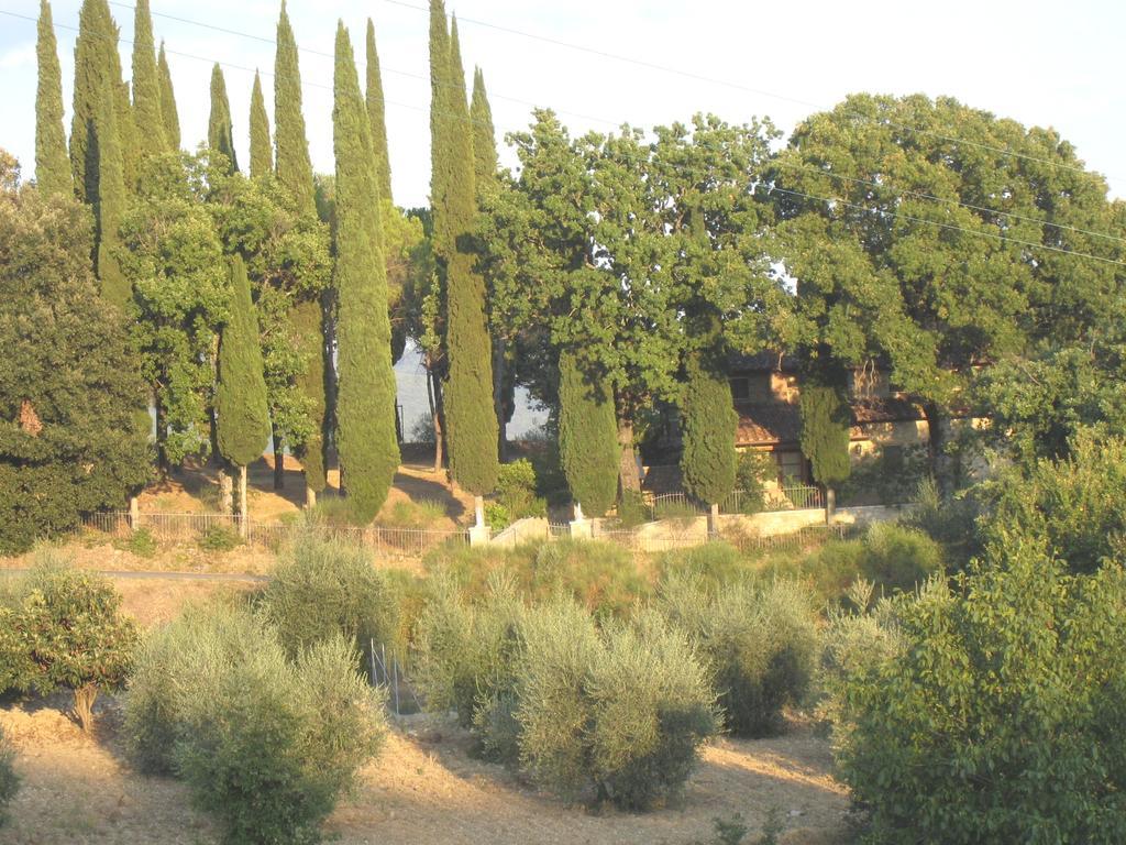 Casanova Di Ricavo Villa Gaiole in Chianti Ngoại thất bức ảnh